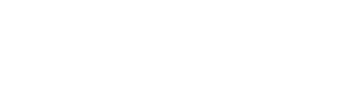 GenSom DSM Logo